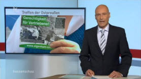 TV-Berichte