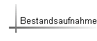 Bestandsaufnahme