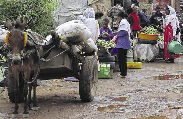 500 Millionen oder eine Milliarde? Wie vielen Weltbewohnern geht es in einem deutschen Asylbewerberheim besser als in ihrer Heimat?  Hier ein Markt in Eritrea. 2015 stellten bislang 5000 Menschen aus diesem Land einen Asylantrag Bild: Getty