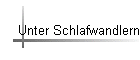 Unter Schlafwandlern