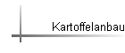 Kartoffelanbau